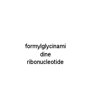 formylglycinamidine ribonucleotide